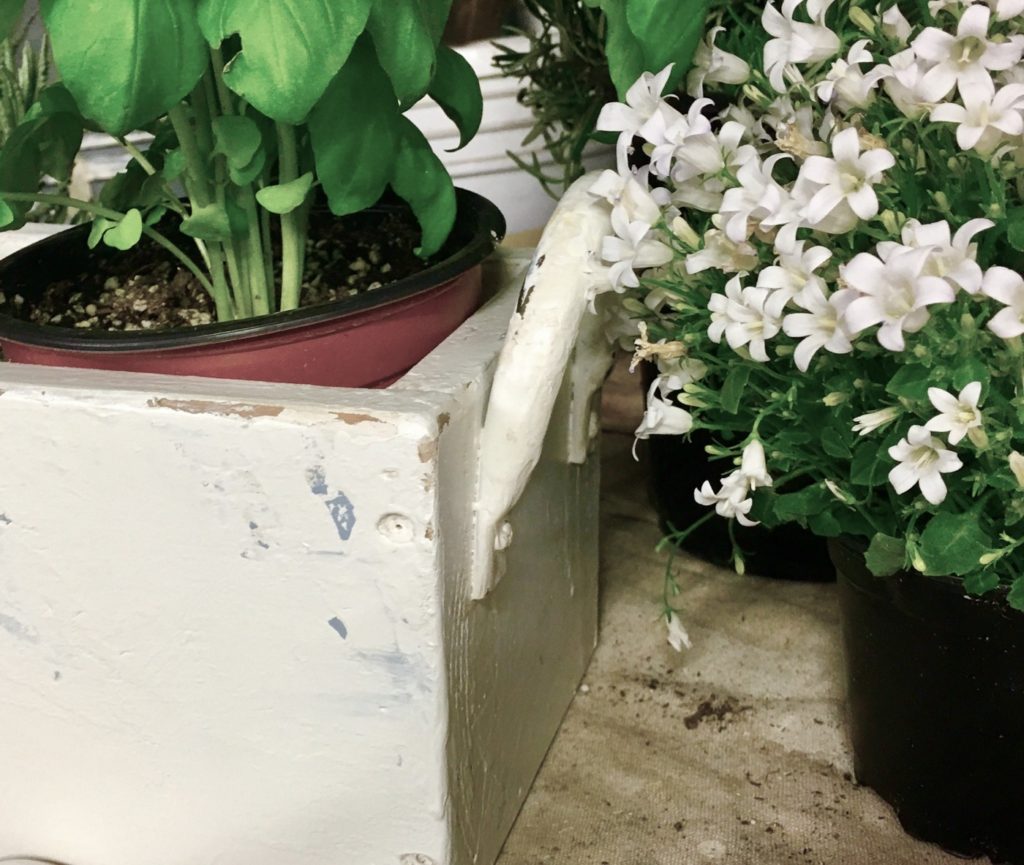 Hand Painted Flower Box